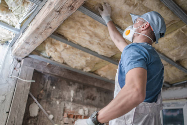 Best Eco-Friendly Insulation in Cadiz, OH